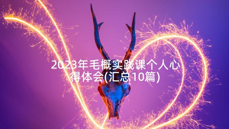 2023年毛概实践课个人心得体会(汇总10篇)