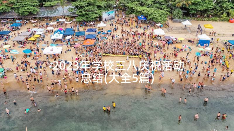 2023年学校三八庆祝活动总结(大全5篇)