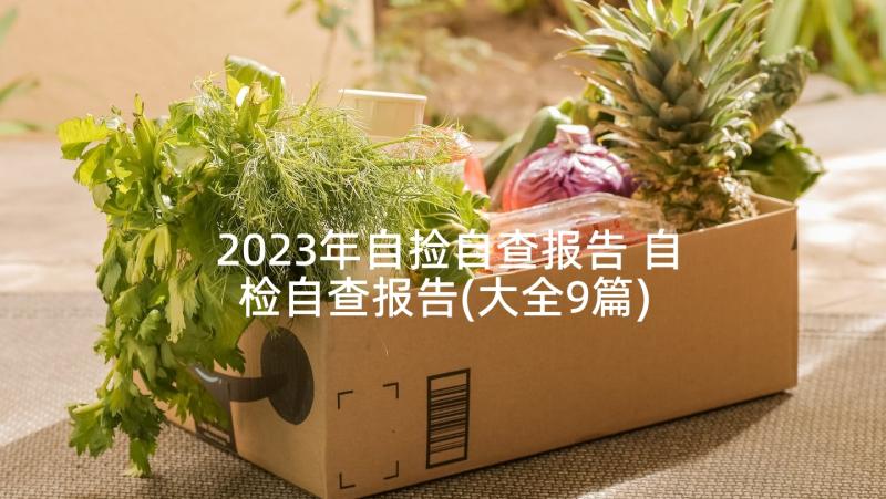 2023年自捡自查报告 自检自查报告(大全9篇)