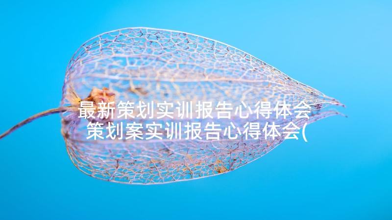 最新策划实训报告心得体会 策划案实训报告心得体会(精选5篇)