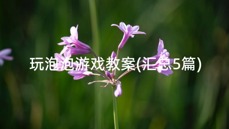 玩泡泡游戏教案(汇总5篇)