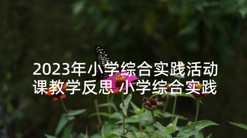 2023年小学综合实践活动课教学反思 小学综合实践活动教案(优秀9篇)