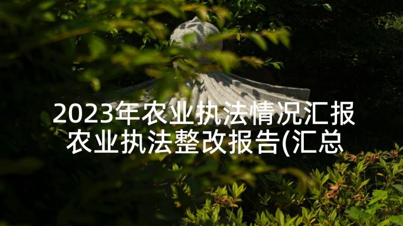 2023年农业执法情况汇报 农业执法整改报告(汇总5篇)