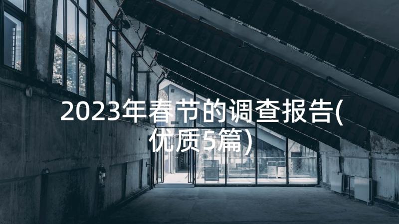 2023年春节的调查报告(优质5篇)