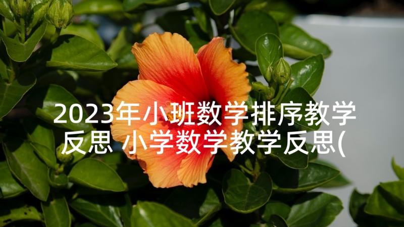 2023年小班数学排序教学反思 小学数学教学反思(汇总8篇)