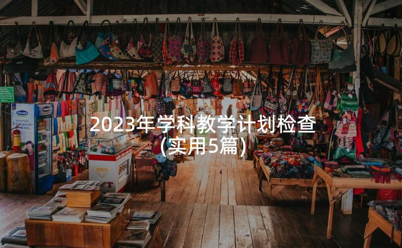 2023年学科教学计划检查(实用5篇)