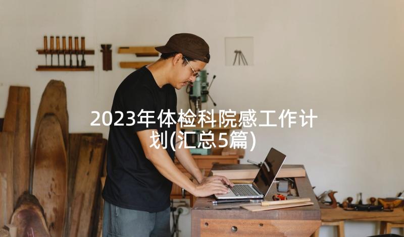 2023年体检科院感工作计划(汇总5篇)