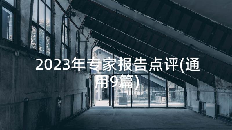 2023年专家报告点评(通用9篇)