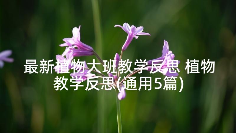 最新植物大班教学反思 植物教学反思(通用5篇)