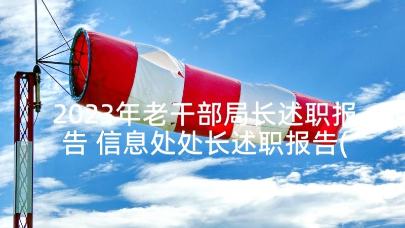 2023年老干部局长述职报告 信息处处长述职报告(实用5篇)