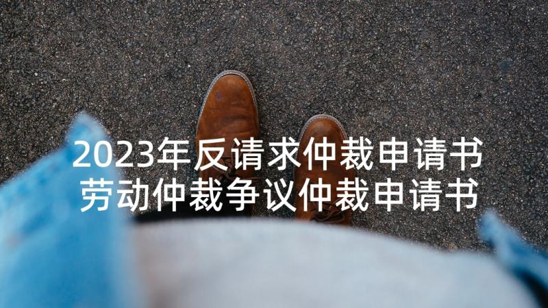 2023年反请求仲裁申请书 劳动仲裁争议仲裁申请书(精选10篇)