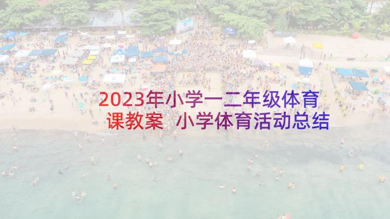 2023年小学一二年级体育课教案 小学体育活动总结(精选10篇)