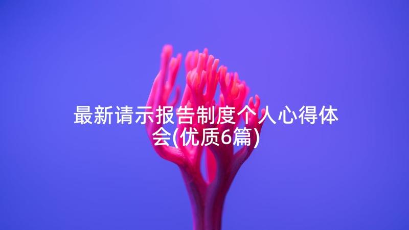 最新请示报告制度个人心得体会(优质6篇)