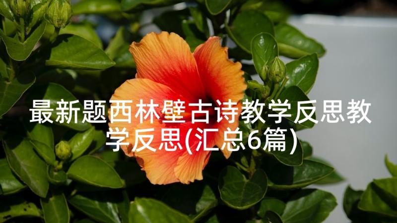 最新题西林壁古诗教学反思教学反思(汇总6篇)