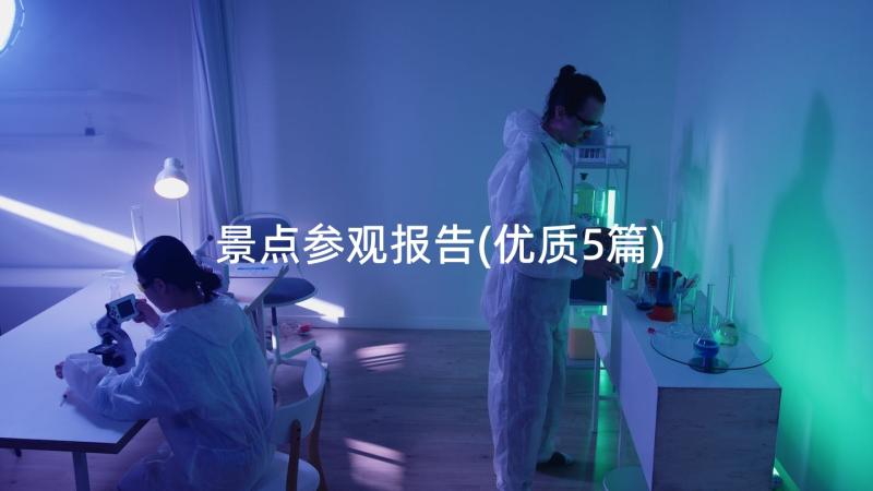 景点参观报告(优质5篇)