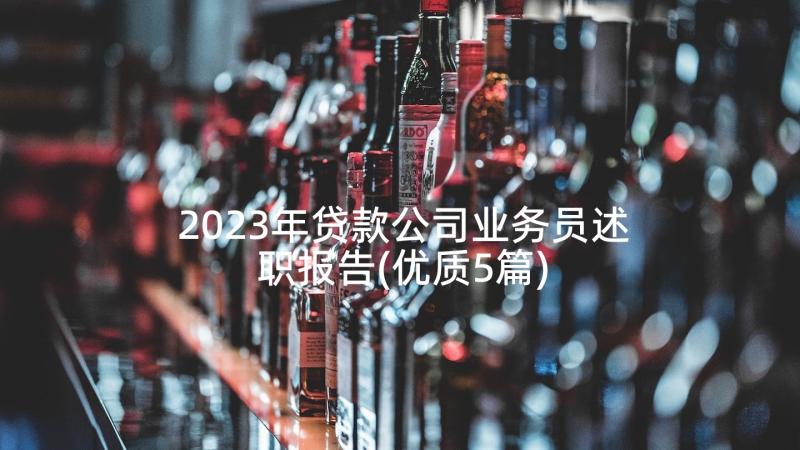 2023年贷款公司业务员述职报告(优质5篇)