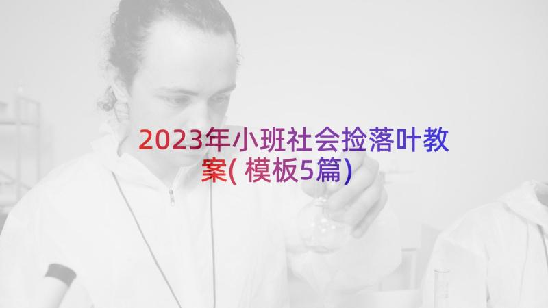 2023年小班社会捡落叶教案(模板5篇)