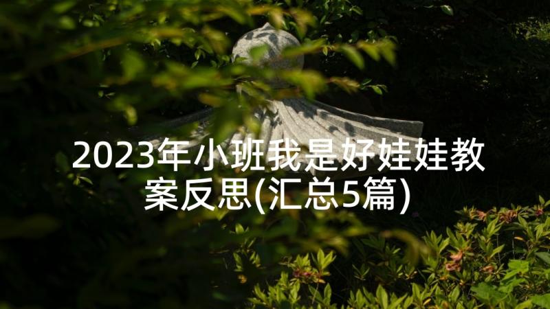 2023年小班我是好娃娃教案反思(汇总5篇)