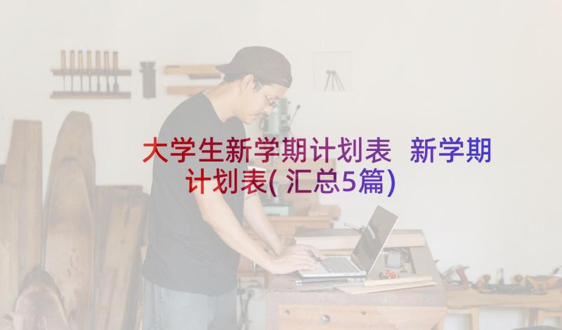 大学生新学期计划表 新学期计划表(汇总5篇)