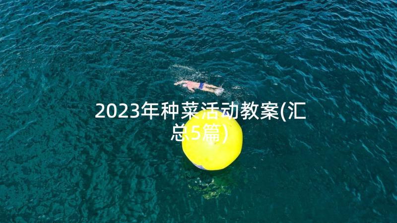 2023年种菜活动教案(汇总5篇)