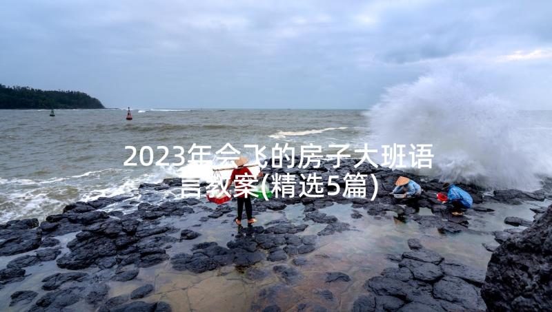 2023年会飞的房子大班语言教案(精选5篇)