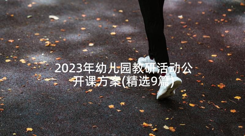 2023年幼儿园教研活动公开课方案(精选9篇)