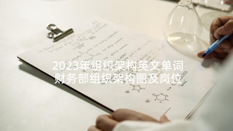 2023年组织架构英文单词 财务部组织架构图及岗位工作职责(优秀5篇)