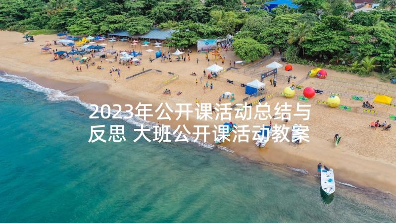 2023年公开课活动总结与反思 大班公开课活动教案(汇总10篇)