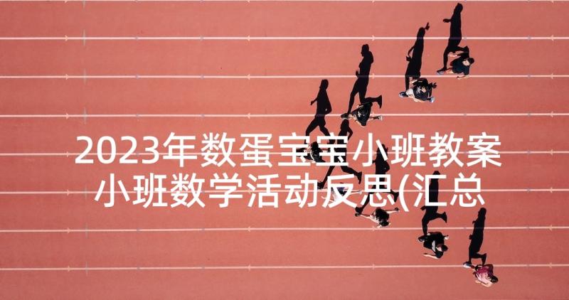 2023年数蛋宝宝小班教案 小班数学活动反思(汇总10篇)