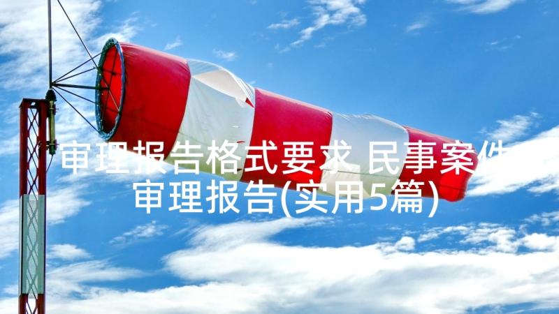 审理报告格式要求 民事案件审理报告(实用5篇)