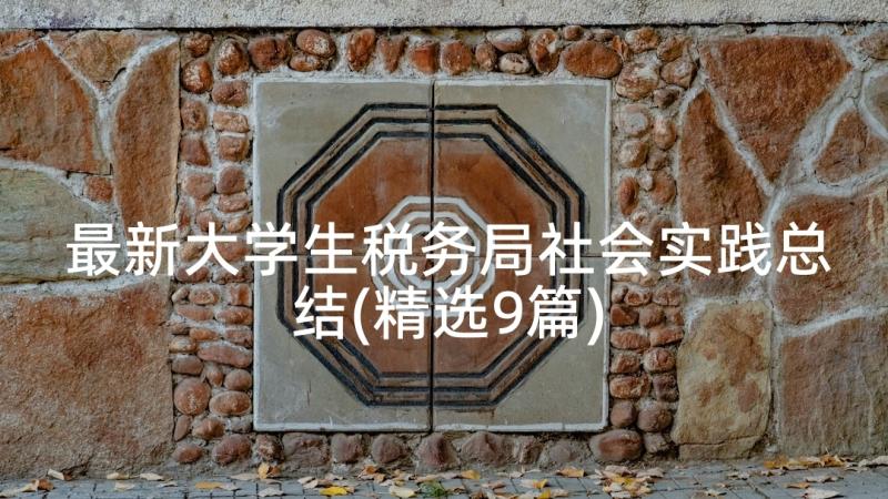 最新大学生税务局社会实践总结(精选9篇)