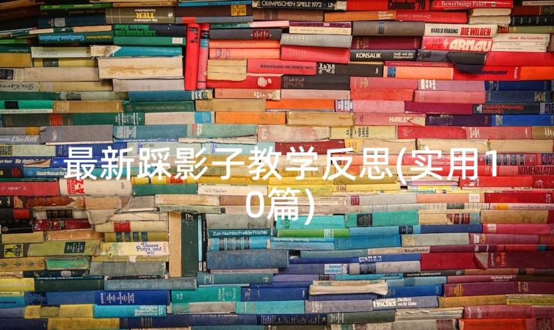 最新踩影子教学反思(实用10篇)