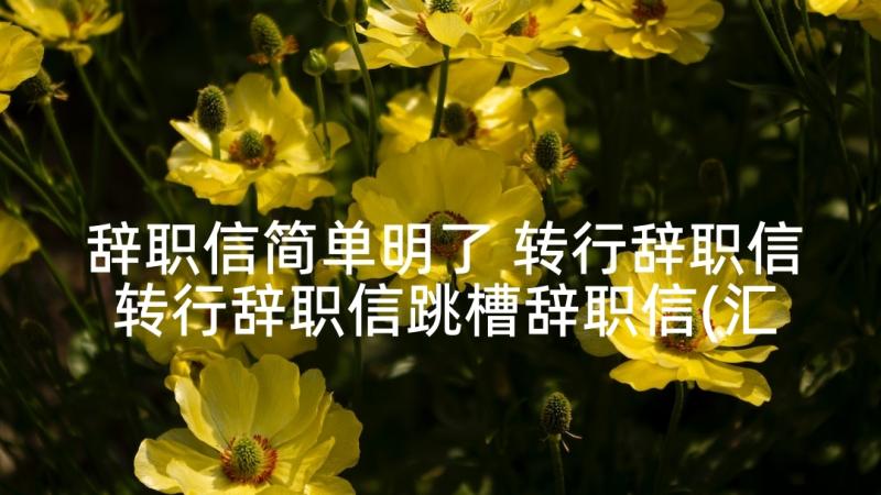 辞职信简单明了 转行辞职信转行辞职信跳槽辞职信(汇总9篇)