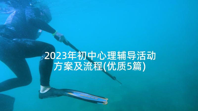 2023年初中心理辅导活动方案及流程(优质5篇)