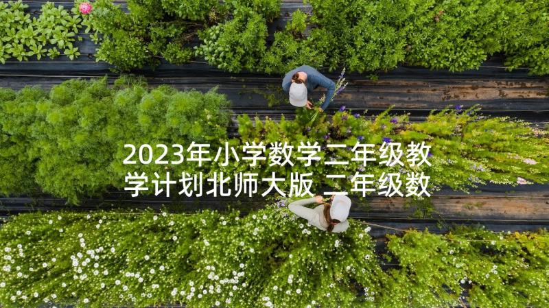 2023年小学数学二年级教学计划北师大版 二年级数学教学计划(大全5篇)