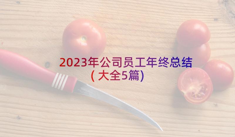 2023年公司员工年终总结(大全5篇)