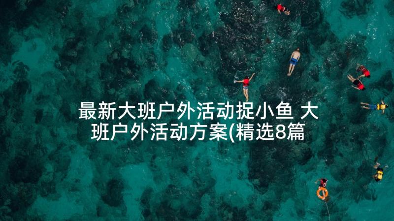 最新大班户外活动捉小鱼 大班户外活动方案(精选8篇)