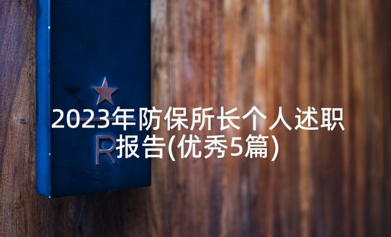 2023年防保所长个人述职报告(优秀5篇)