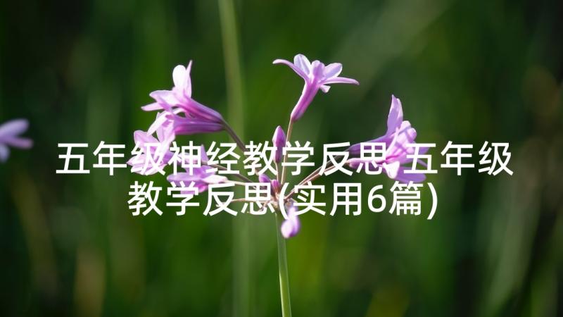 五年级神经教学反思 五年级教学反思(实用6篇)