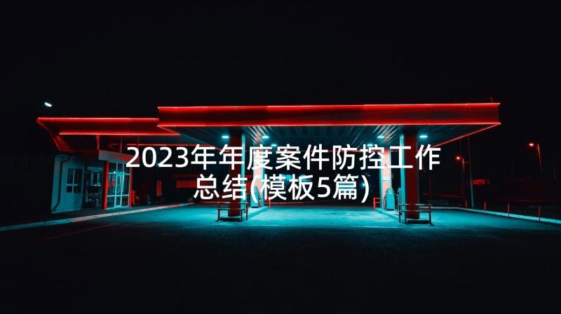 2023年年度案件防控工作总结(模板5篇)