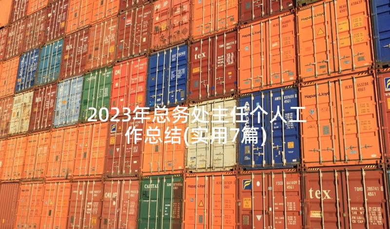 2023年总务处主任个人工作总结(实用7篇)