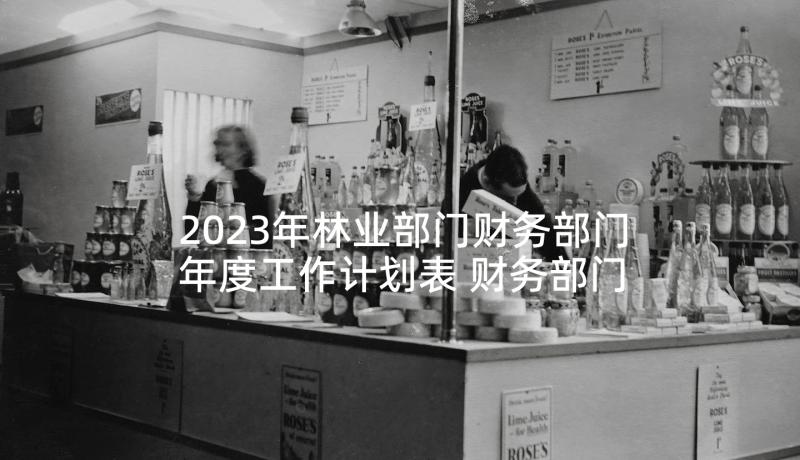 2023年林业部门财务部门年度工作计划表 财务部门年度工作计划(大全5篇)