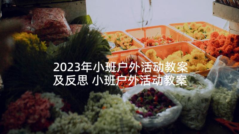 2023年小班户外活动教案及反思 小班户外活动教案(大全5篇)