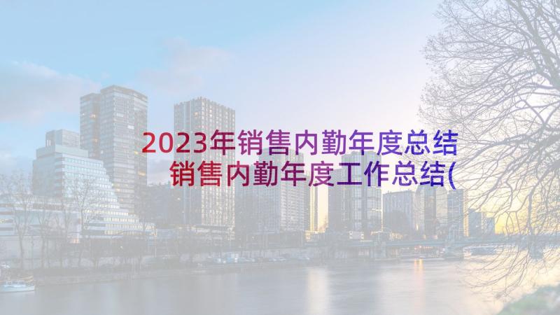 2023年销售内勤年度总结 销售内勤年度工作总结(汇总5篇)