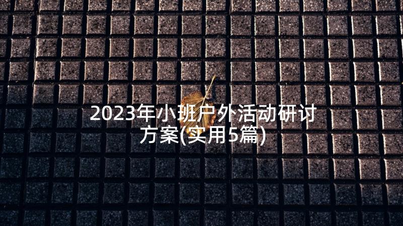 2023年小班户外活动研讨方案(实用5篇)