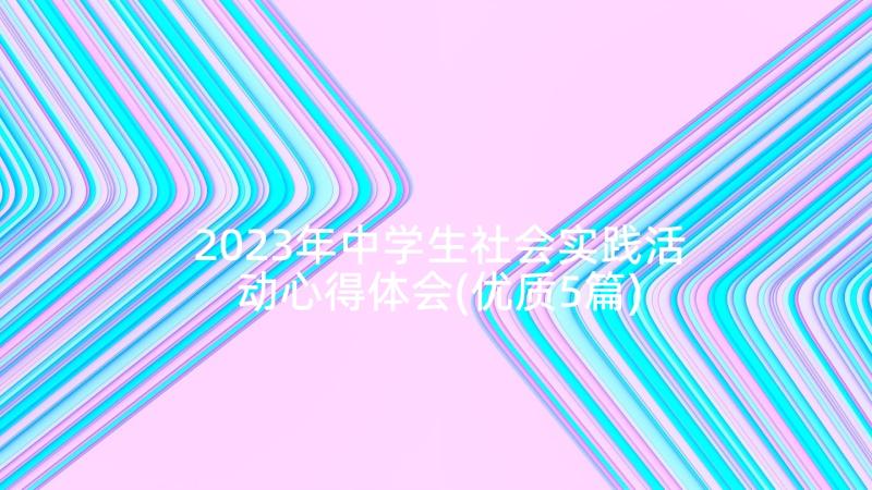 2023年中学生社会实践活动心得体会(优质5篇)