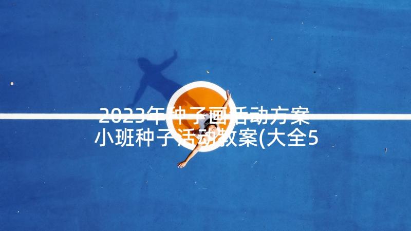 2023年种子画活动方案 小班种子活动教案(大全5篇)