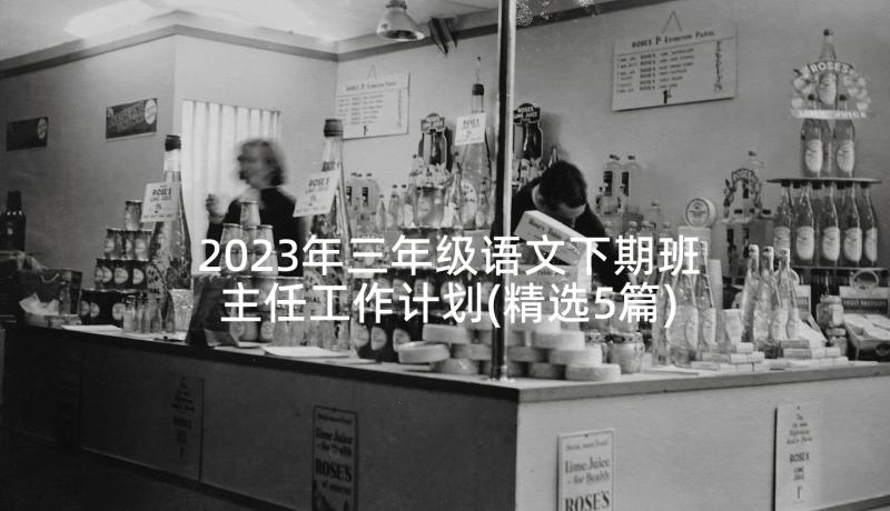 2023年三年级语文下期班主任工作计划(精选5篇)