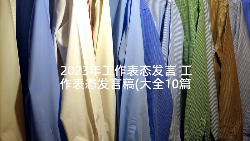 2023年工作表态发言 工作表态发言稿(大全10篇)