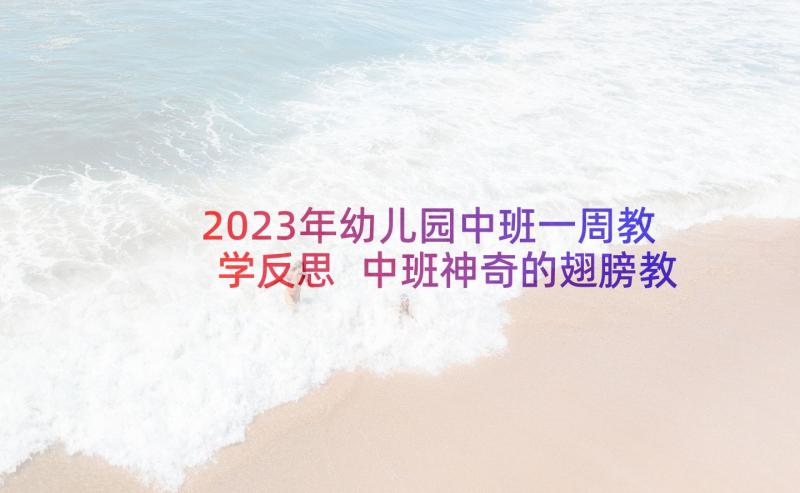 2023年幼儿园中班一周教学反思 中班神奇的翅膀教学活动反思(模板5篇)